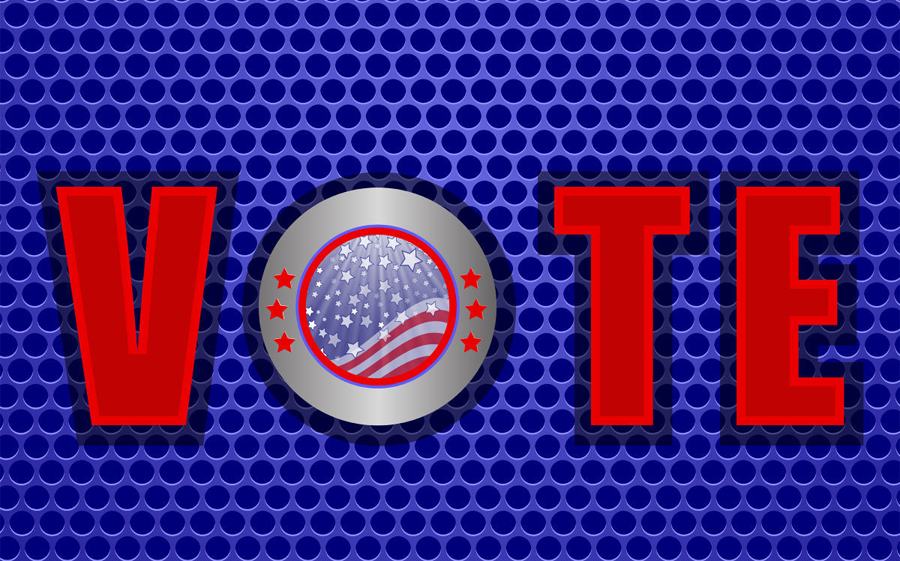 MCOM 304 vote illustration