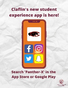 Panther x